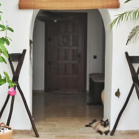 リヤド La Casa De Mama 3*